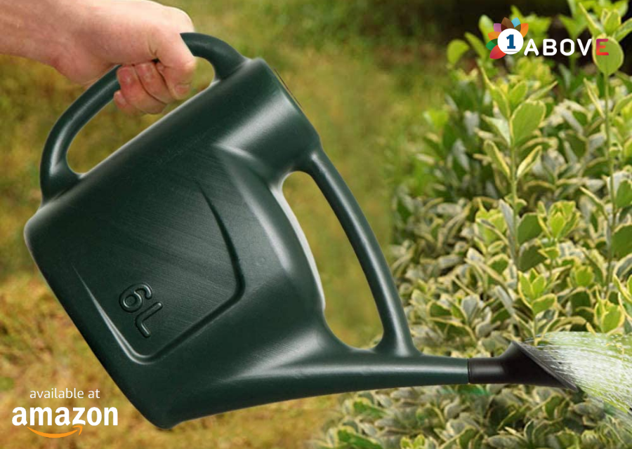 Choose the Best Watering Can for Plants