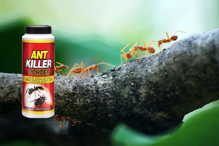 How Does Ant Killer Powder Work? Find Out!