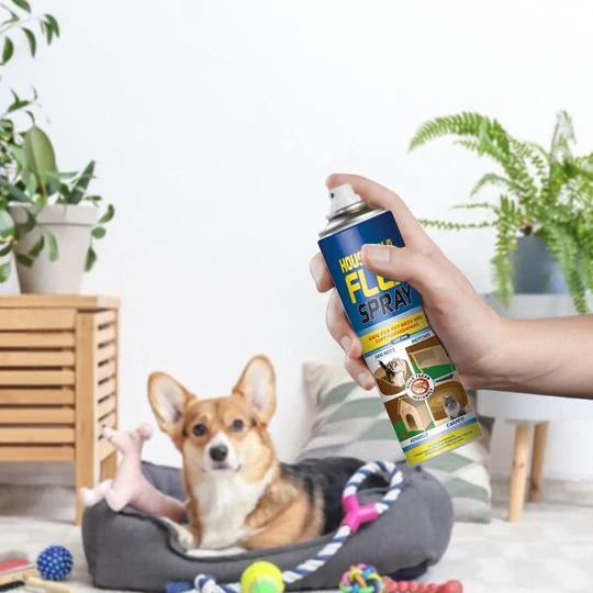 natural flea killer