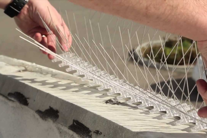 How to Install Bird Spikes on Roof?