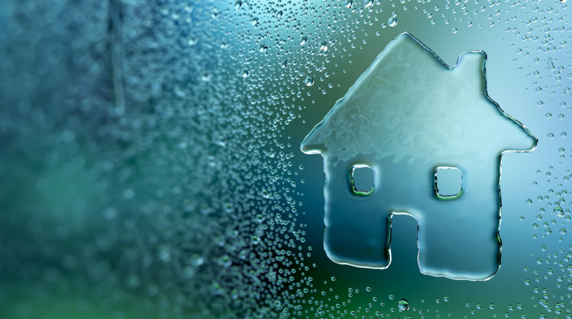 How to Use Interior Dehumidifier - Tips for Best Result