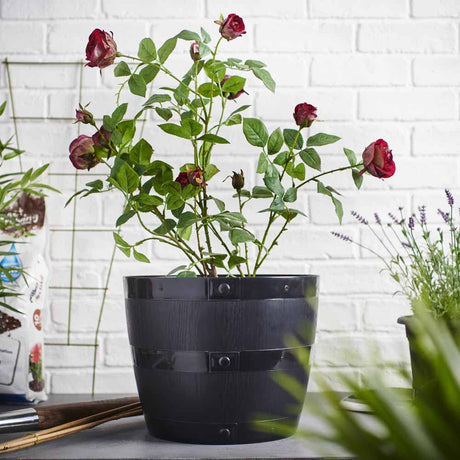Plastic Barrel Planter
