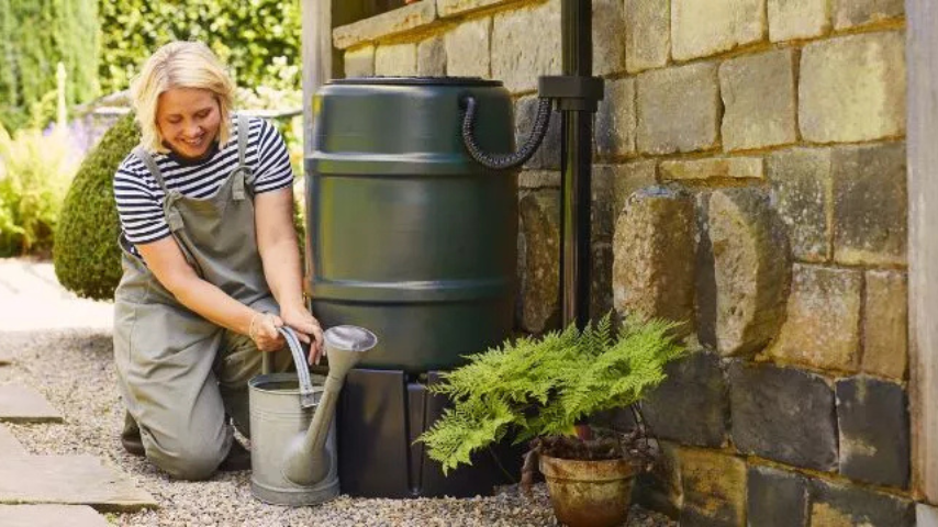 Top Benefits of Installing a Water Butt in Your Garden