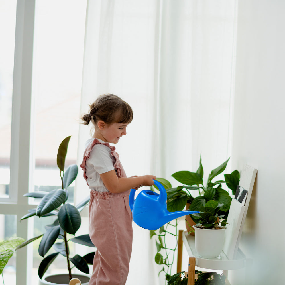Watering Can for Indoor Plants