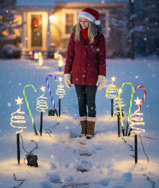 Christmas Craft & Decoration