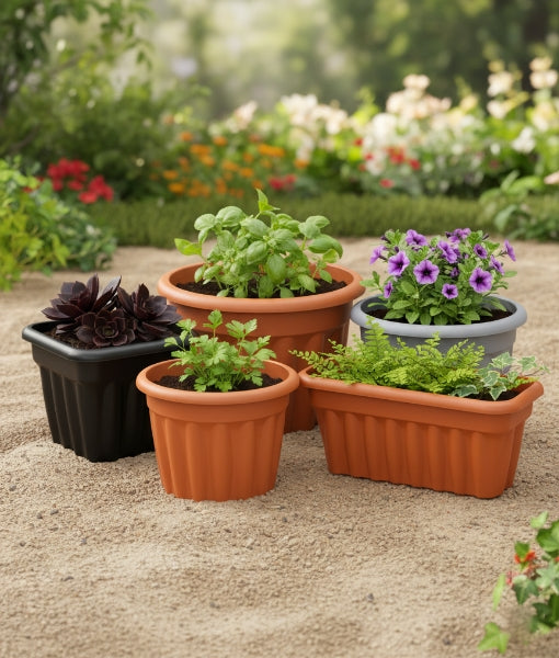 Garden Pots & Planter