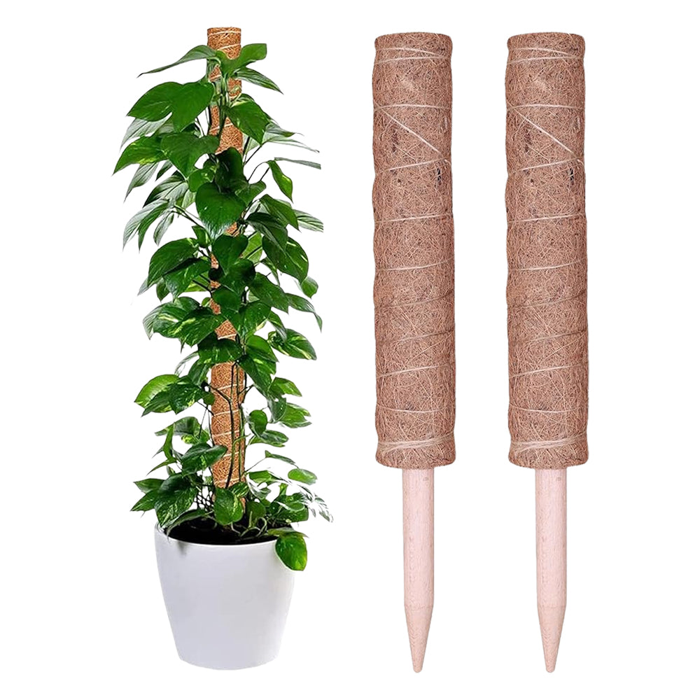 40 CM 2 Pcs Moss Pole