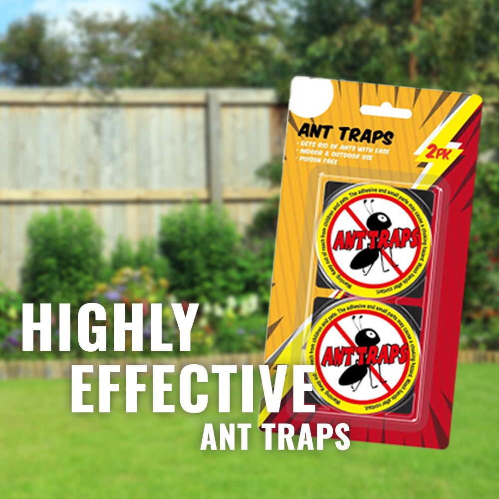 Ant Traps