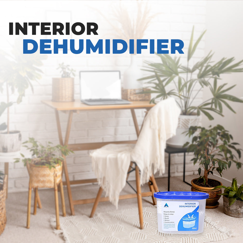 Interior Dehumidifier