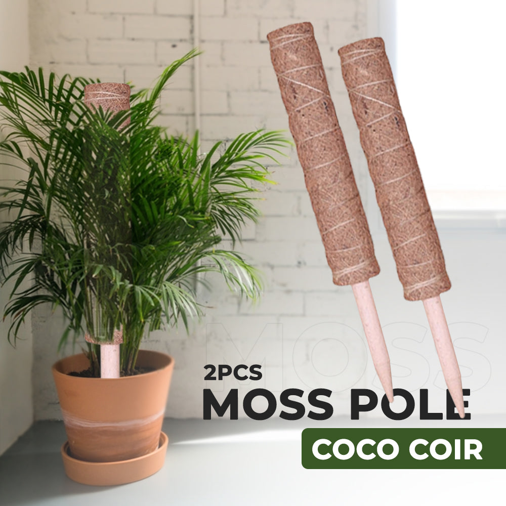 Moss Pole