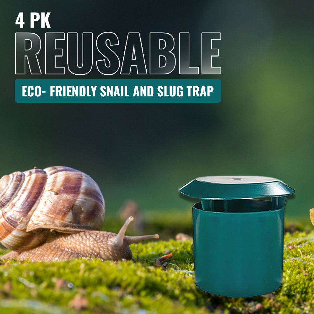 Snail trap discount