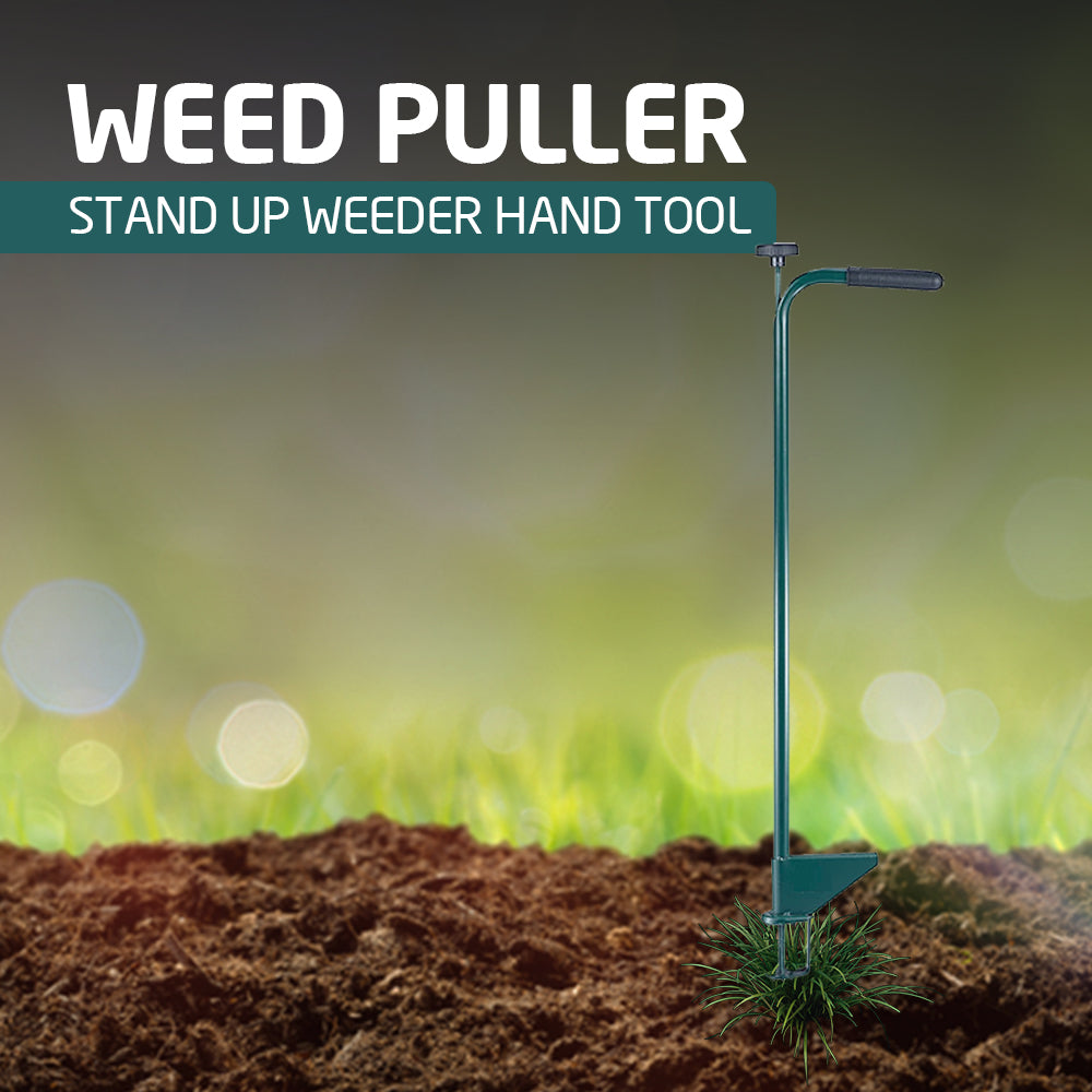 Stand Up Weed Puller