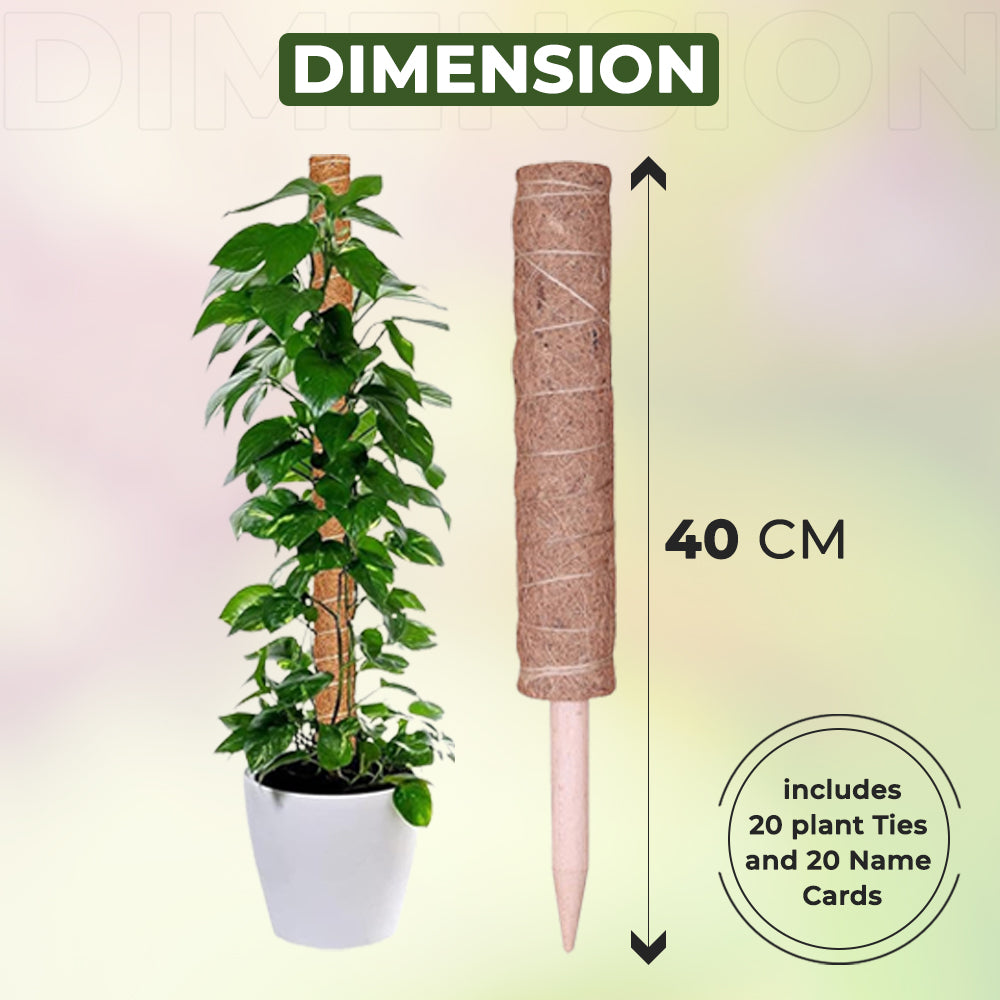 Dimension of 40 CM Moss Pole