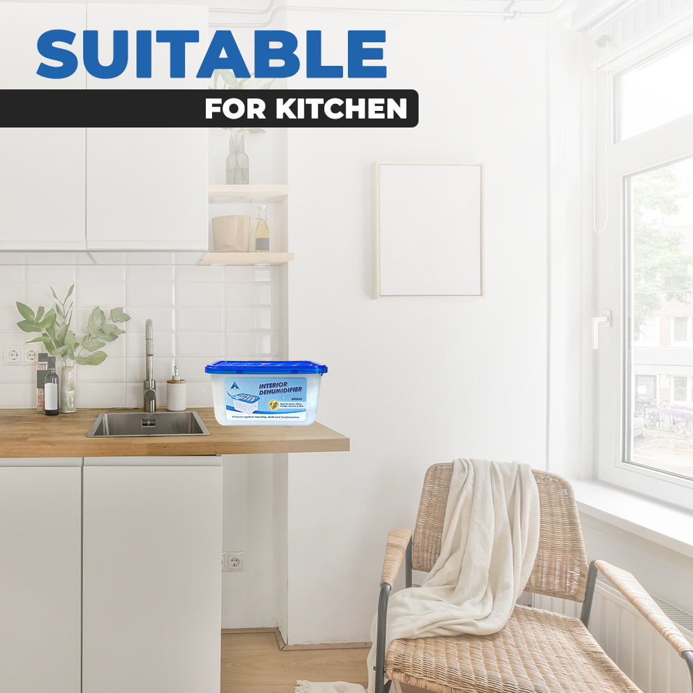 Interior Dehumidifier