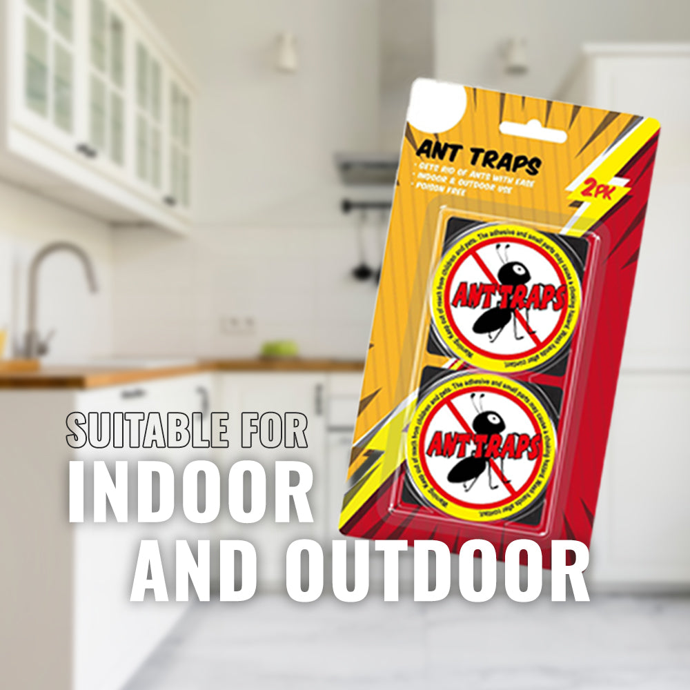 Ant Traps