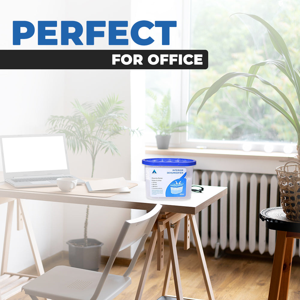 Interior Dehumidifier