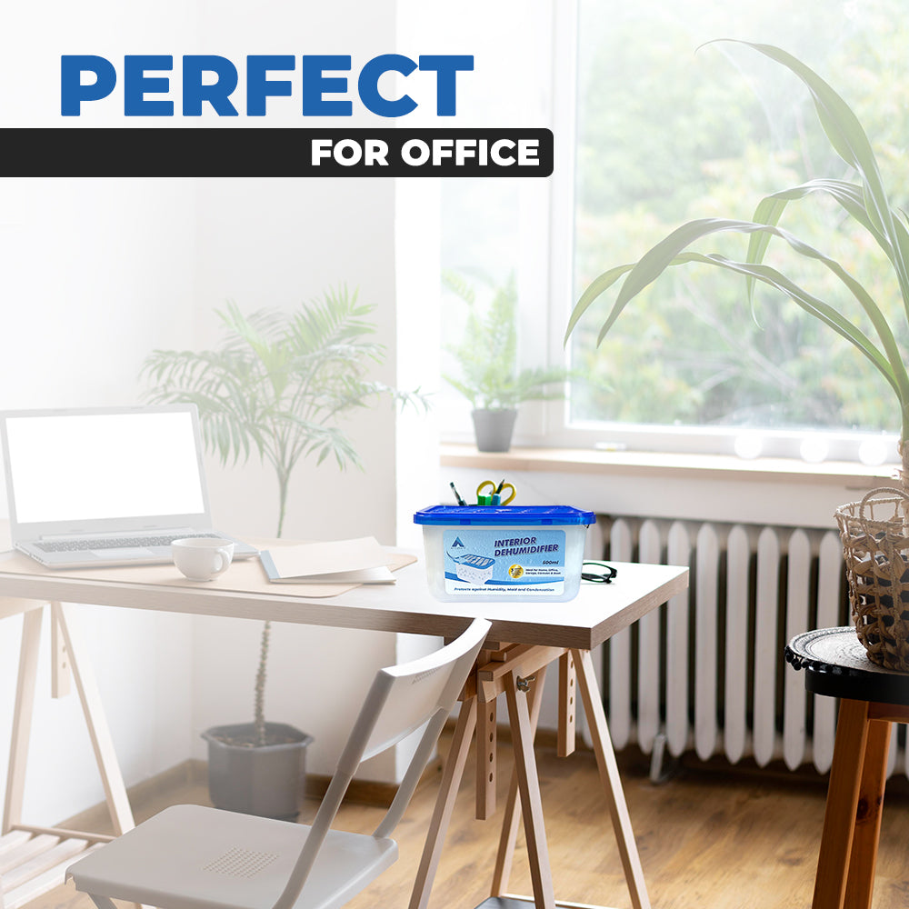 Interior Dehumidifier