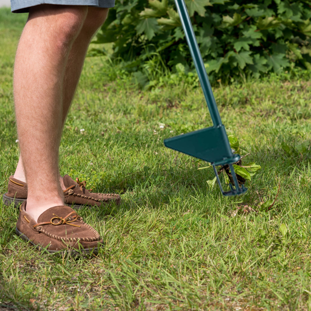 Stand Up Weed Puller