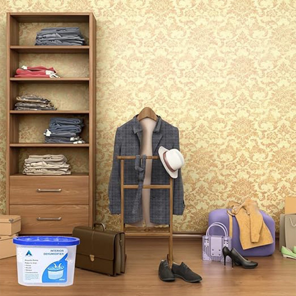 Interior Dehumidifier