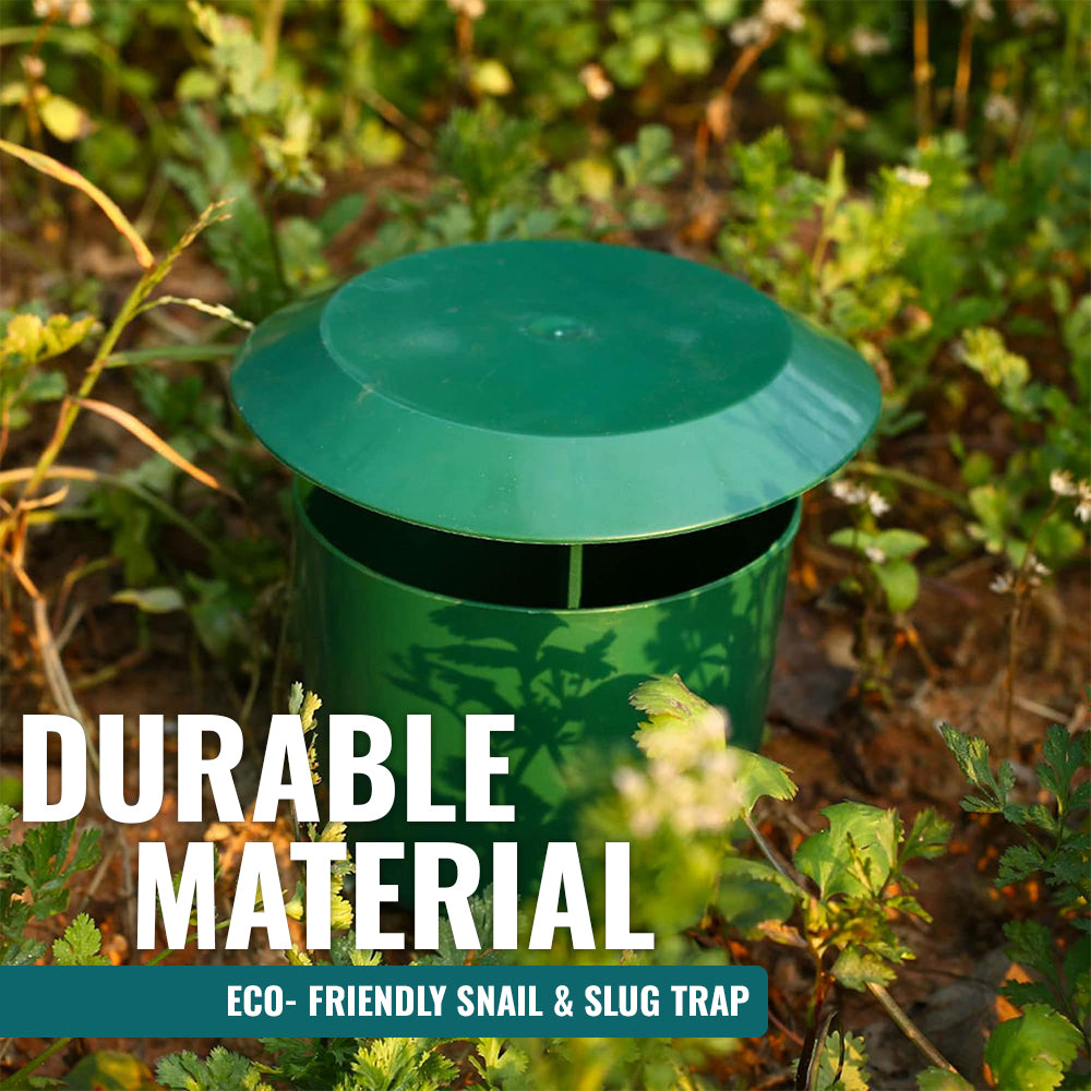 Eco- Friendly Snail & Slug Trap