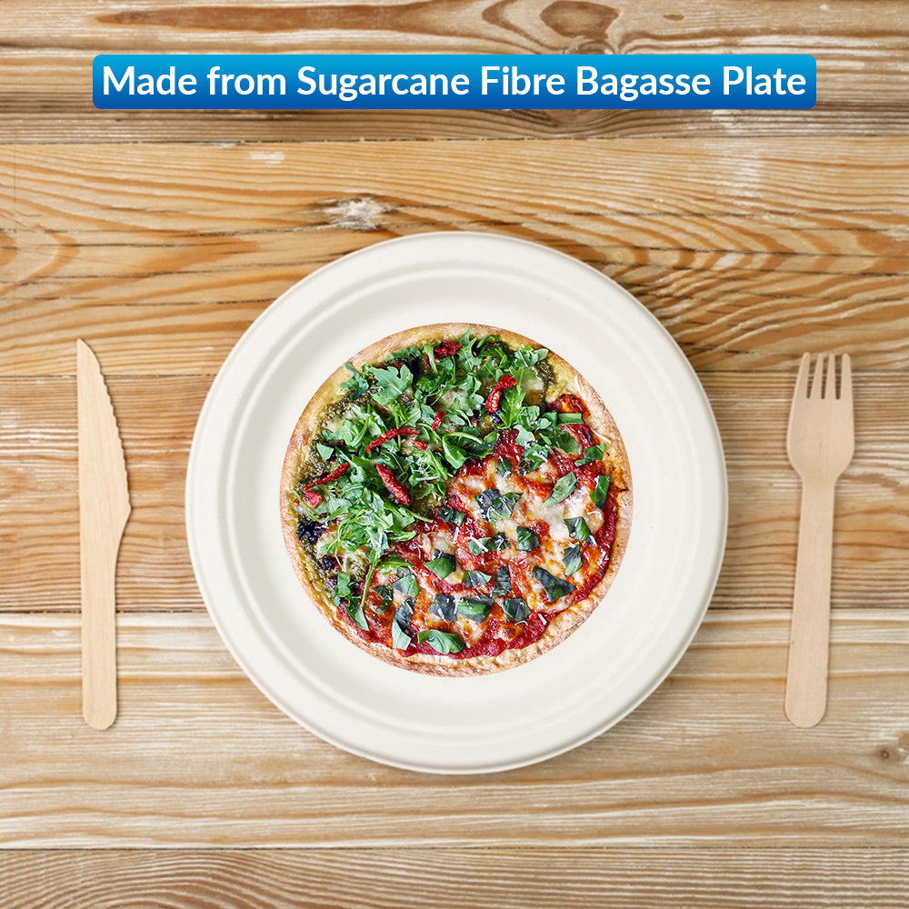Disposable Bagasse Plates