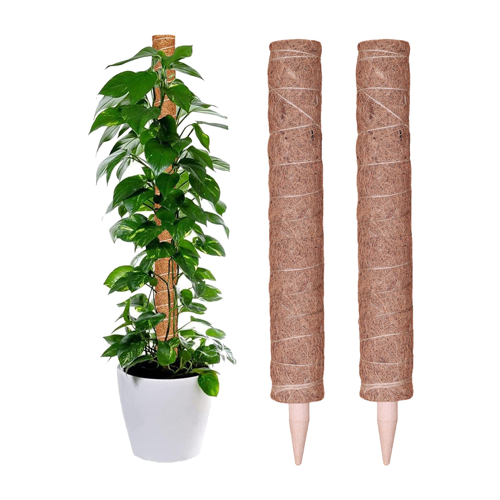 60 CM 2 Pcs Moss Pole