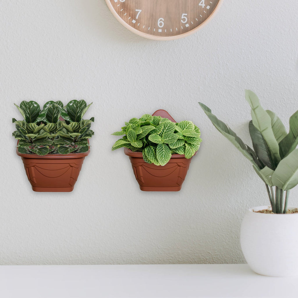 Venetian Wall Planter