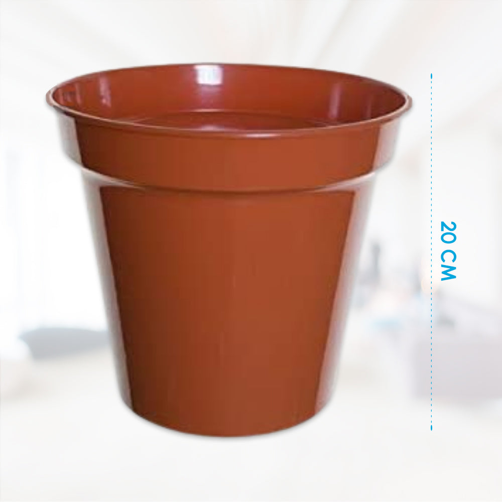 terracotta plant pots