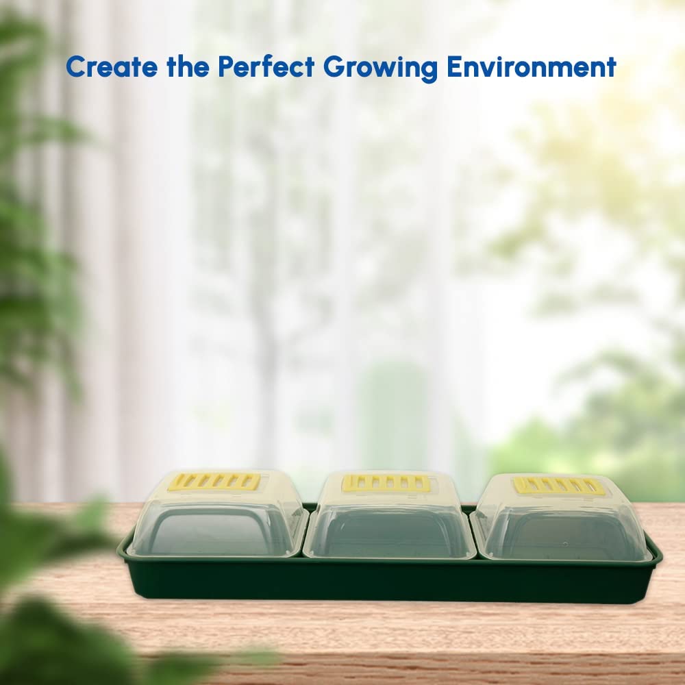 windowsill propagator
