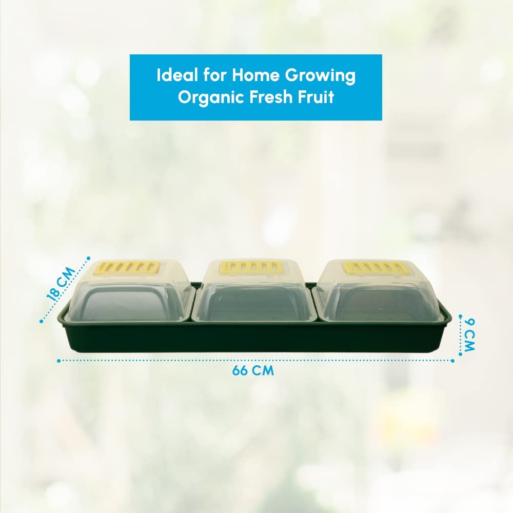 windowsill propagator