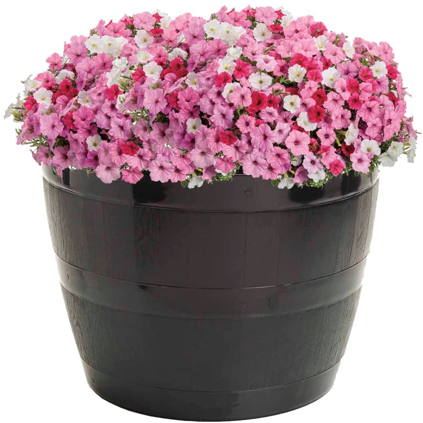 Black Barrel