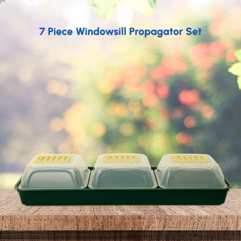 Windowsill Seed Propagator