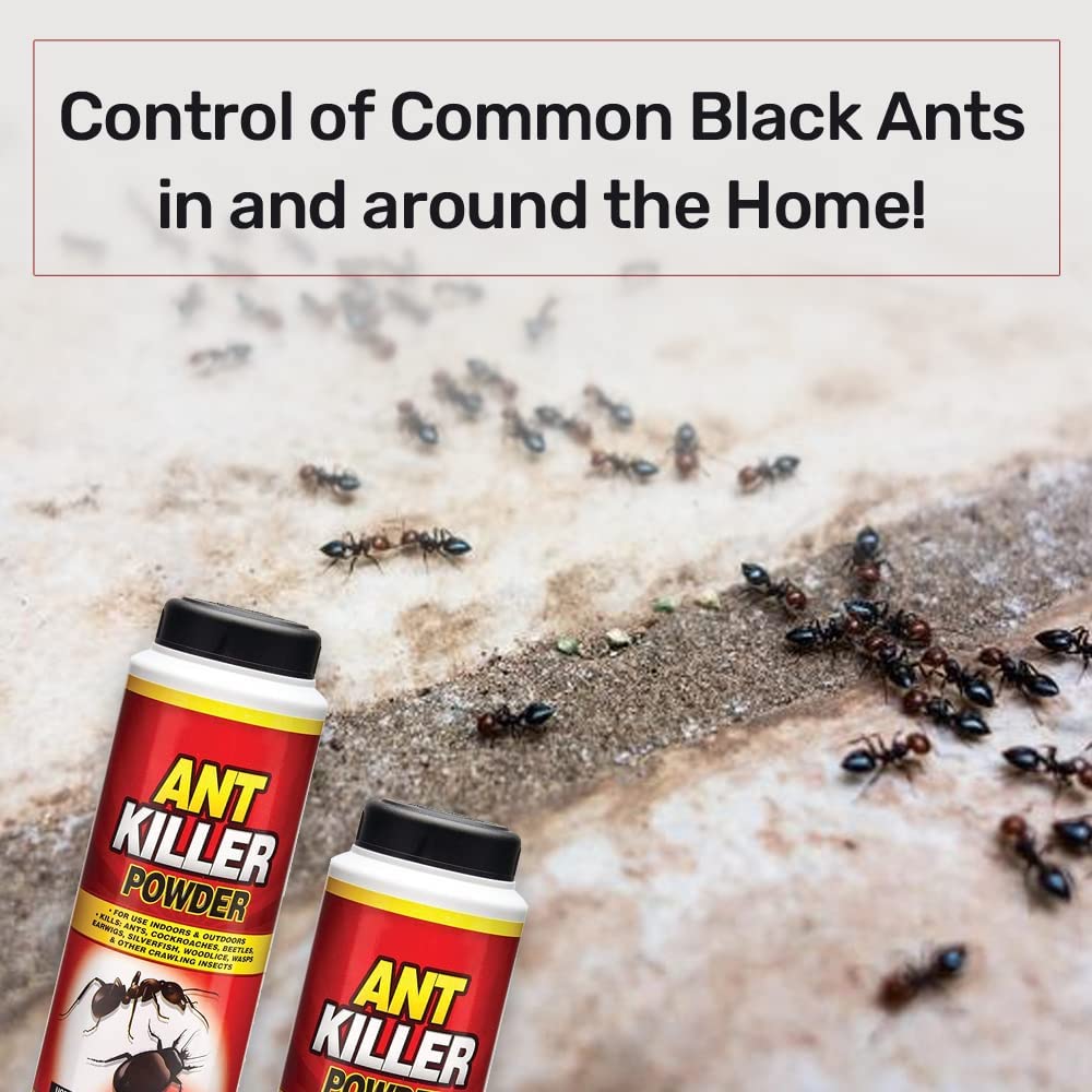 Ant Killer Powder