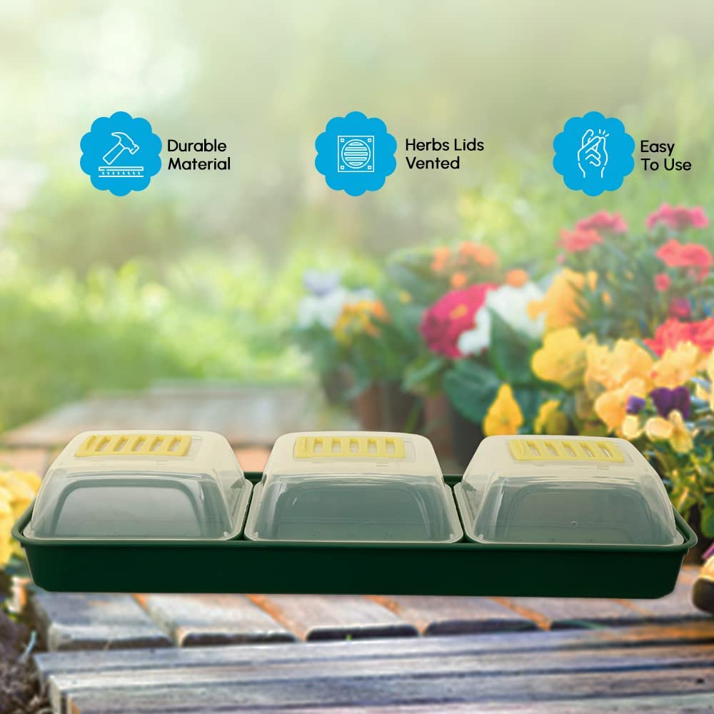 Propagator Set