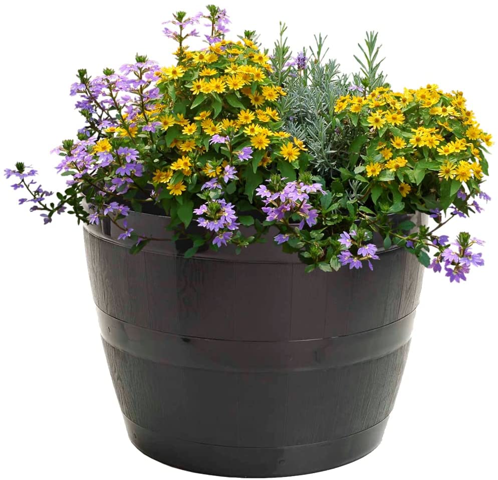 Barrel Planters
