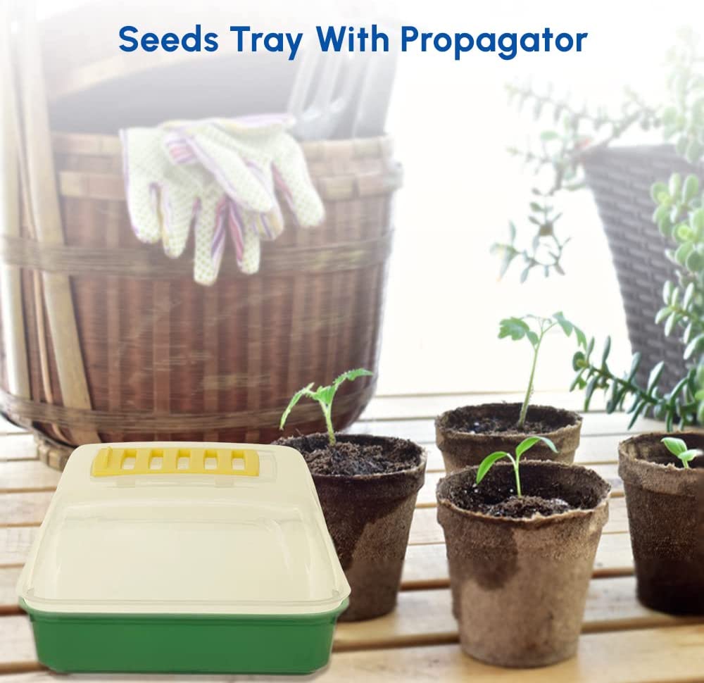 plant seed trays