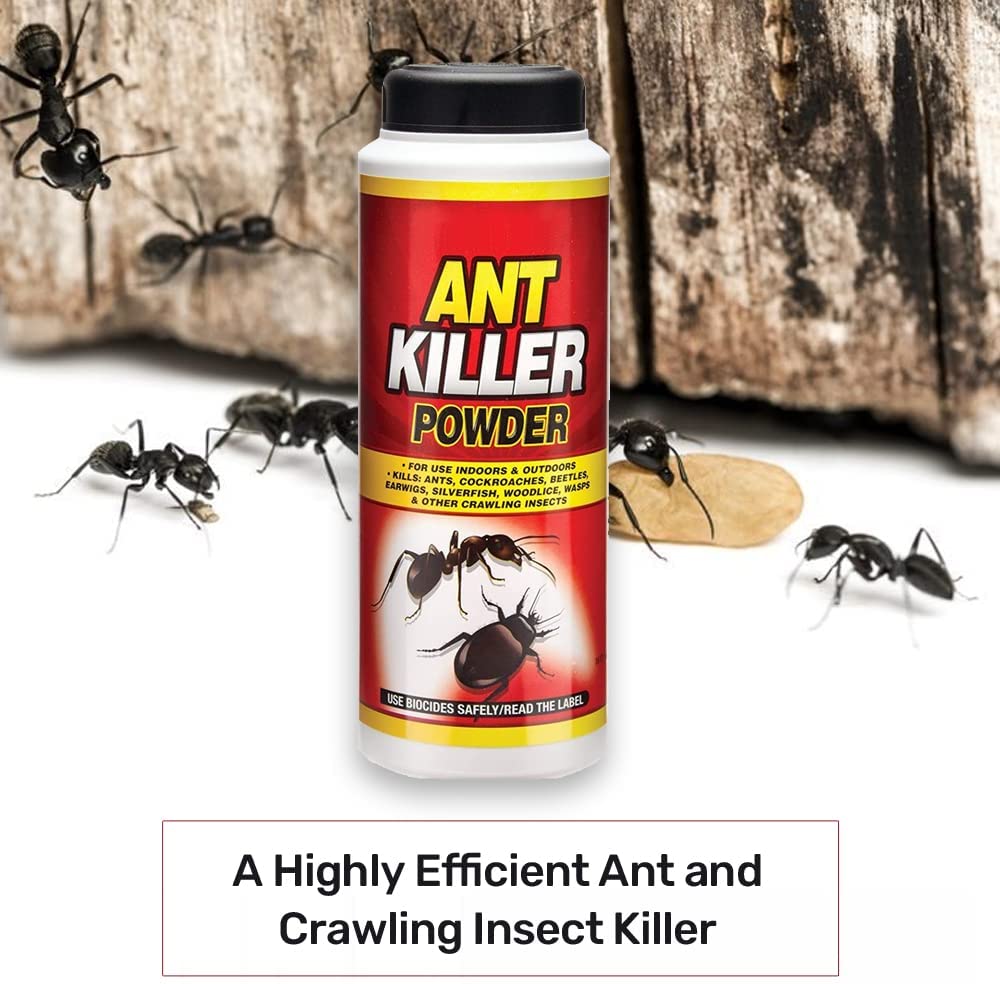 Ant Killer Powder