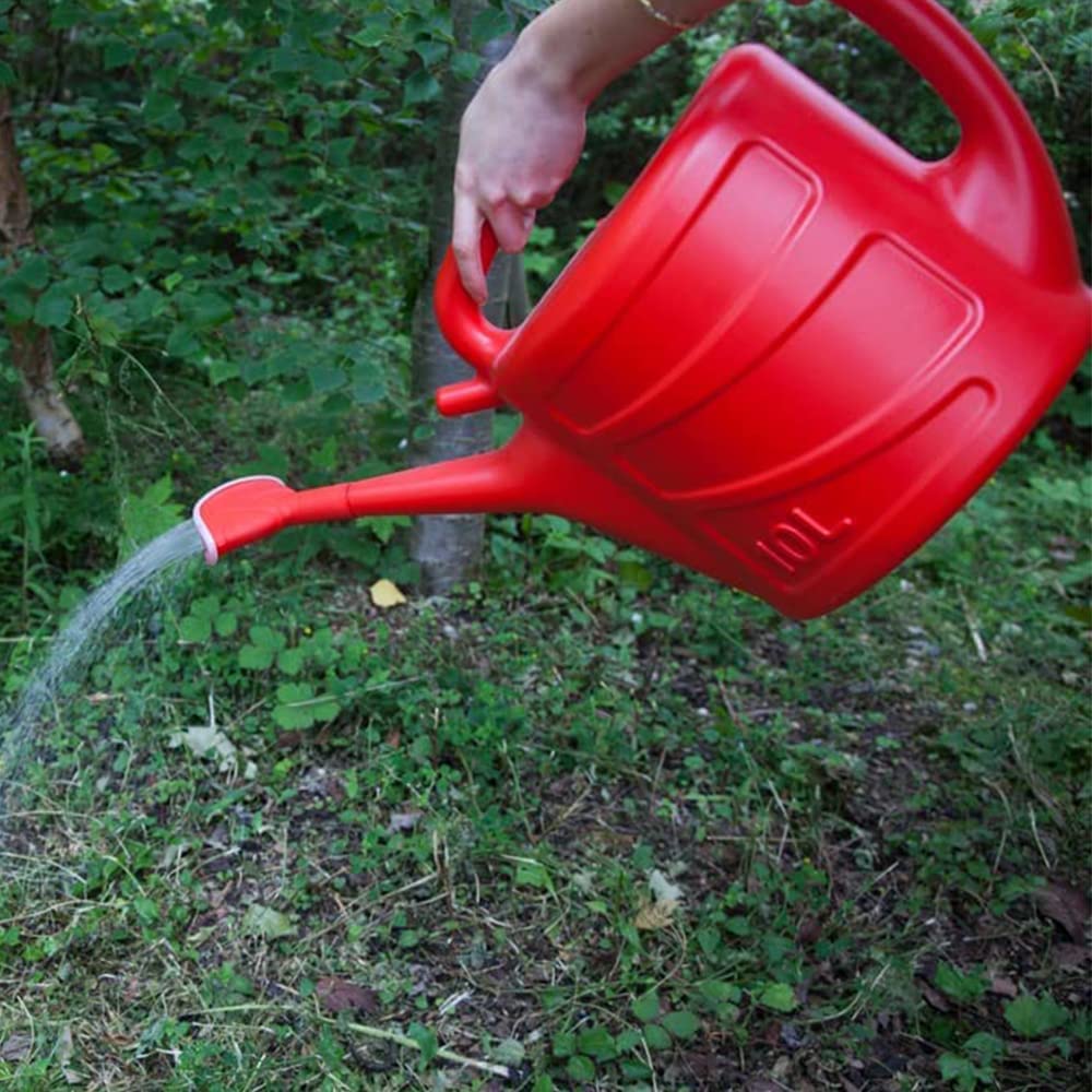Rose Watering Cans