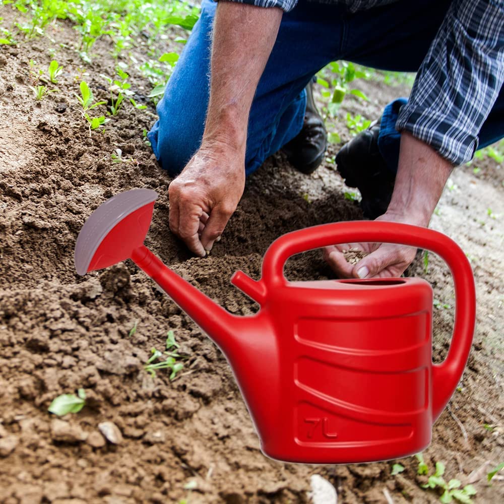 Rose Watering Cans