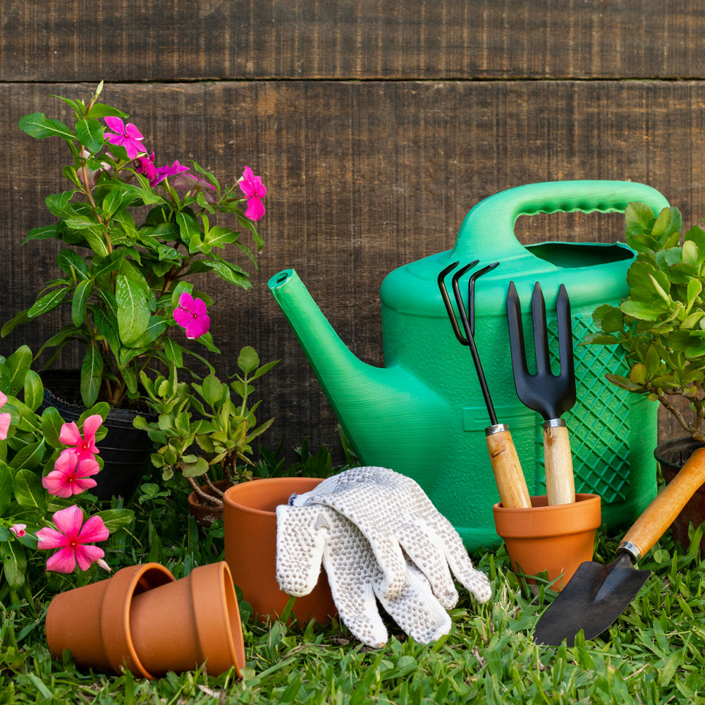 terracotta plant pots
