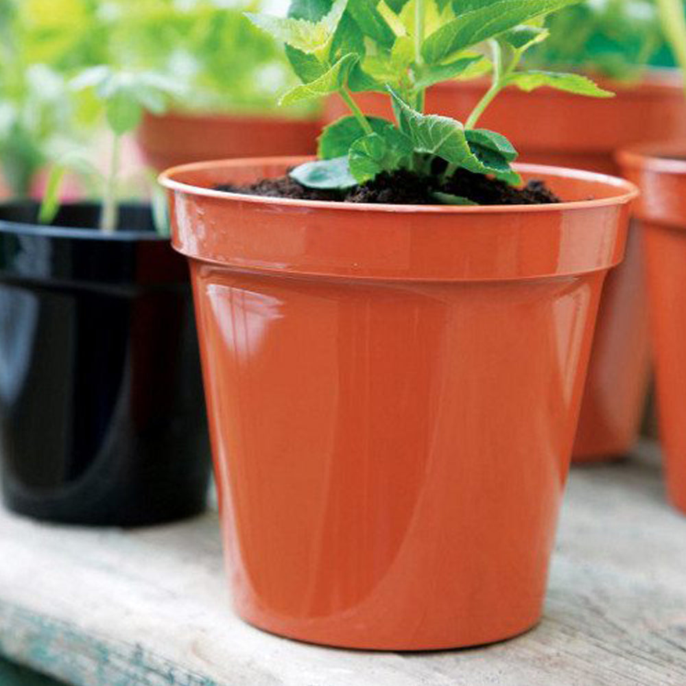 garden plant pots