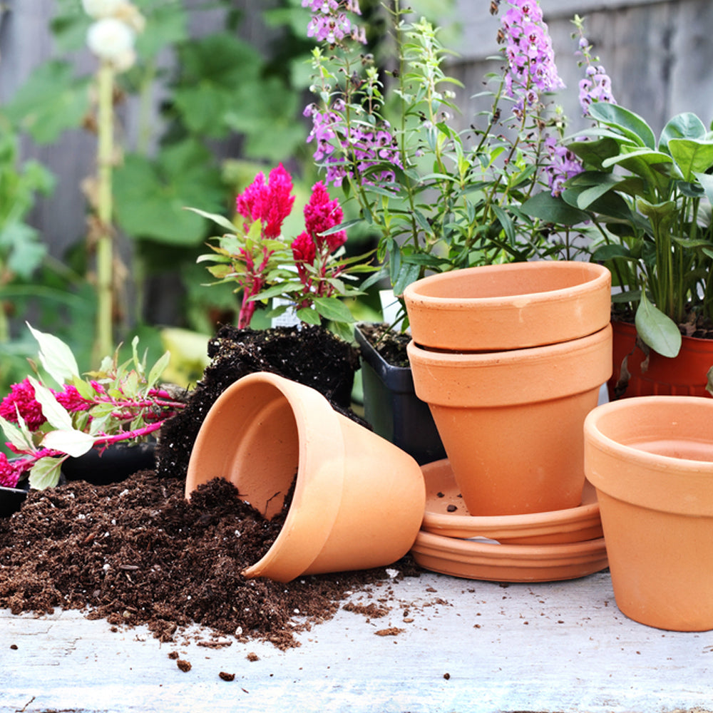 Plastic Planters