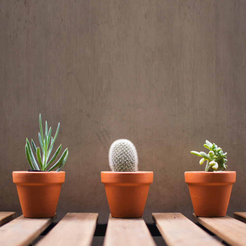 Plastic terracotta pots