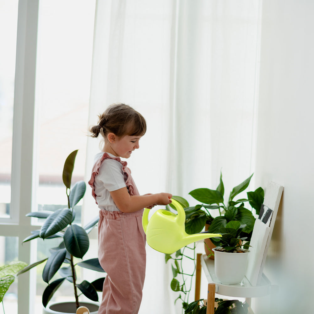 1.5 Litre Watering Cans