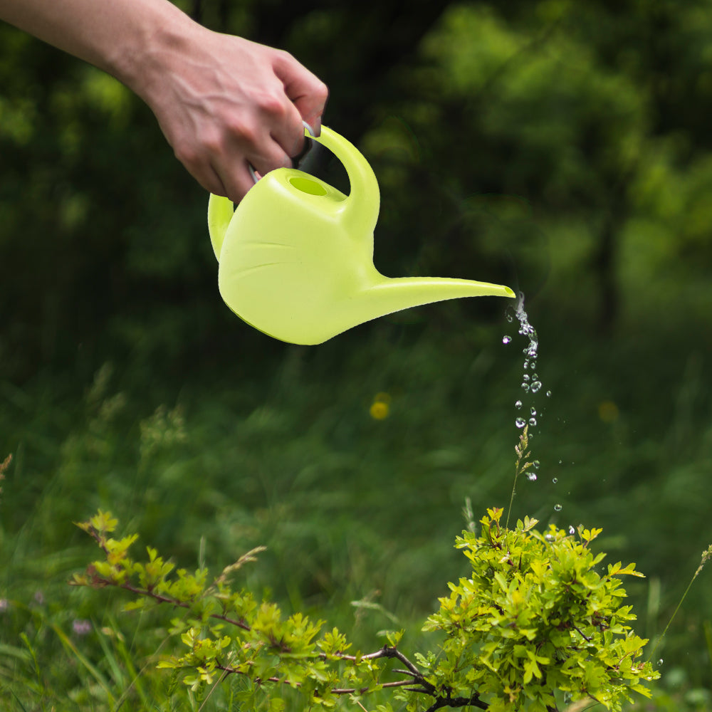 Garden watering can