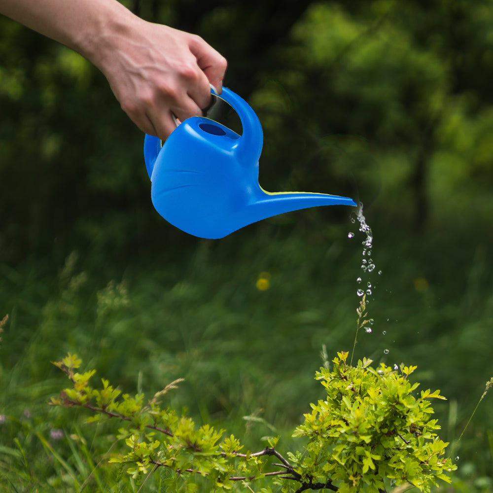 1.5 Litre Watering Cans