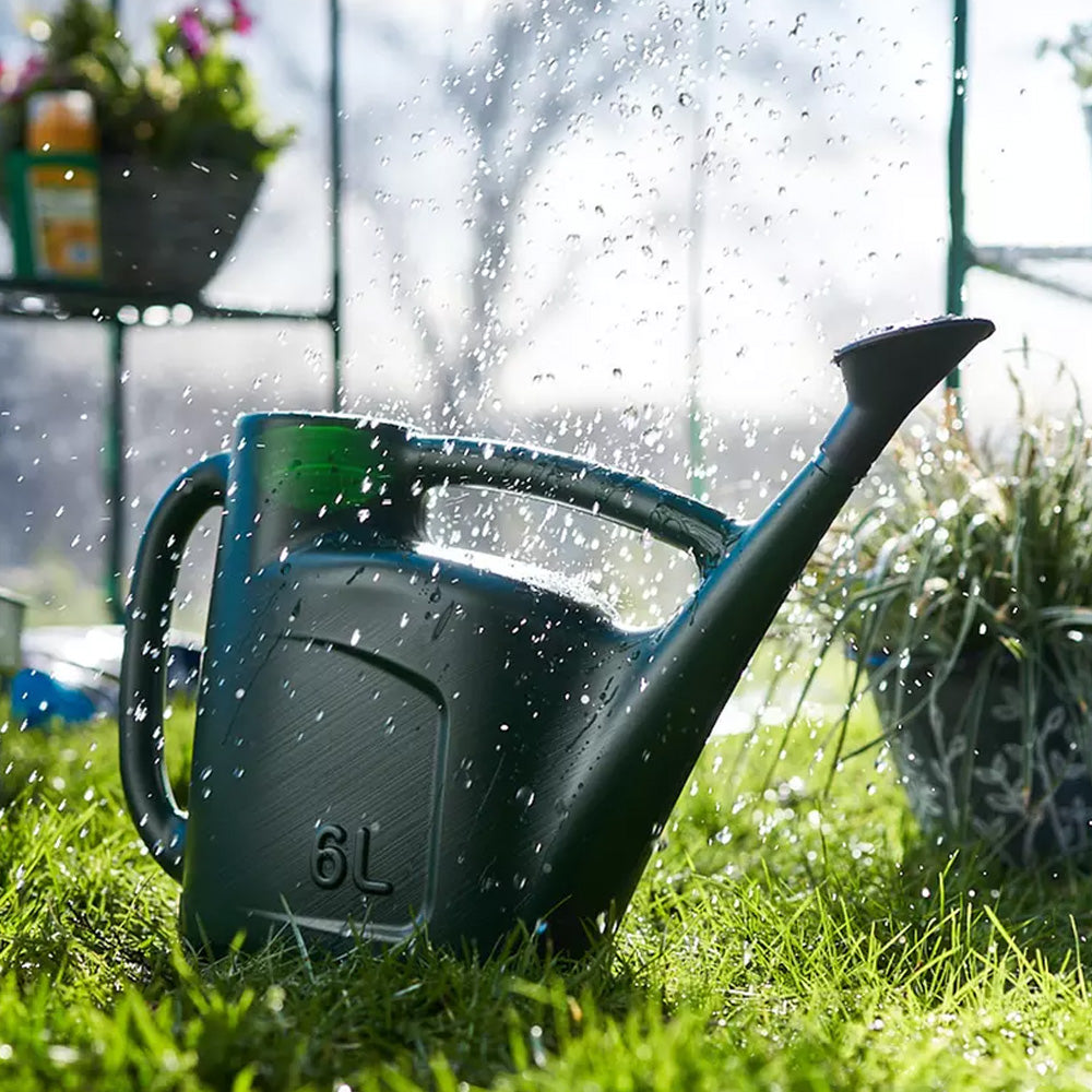 plant watering can