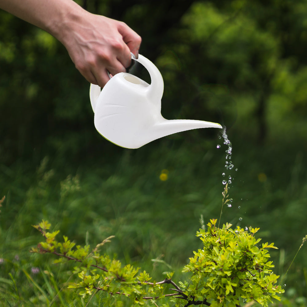 Indoor Watering Can