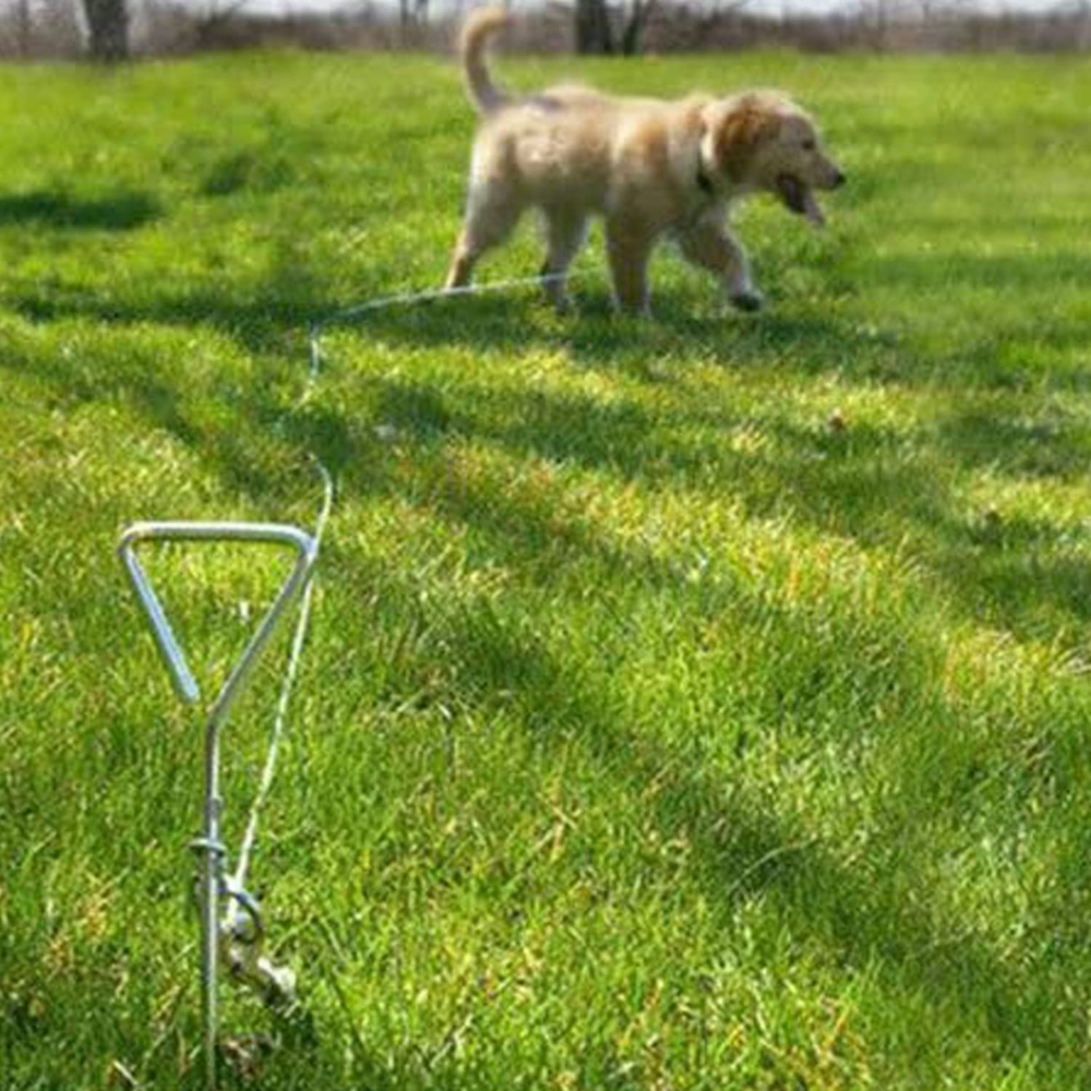 Dog tie out stake