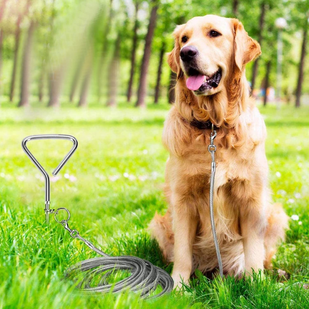 Dog tie out cable